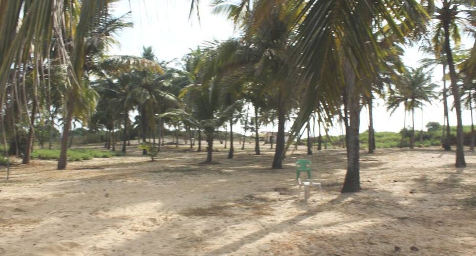 O Palmar Hotel, Goa 2